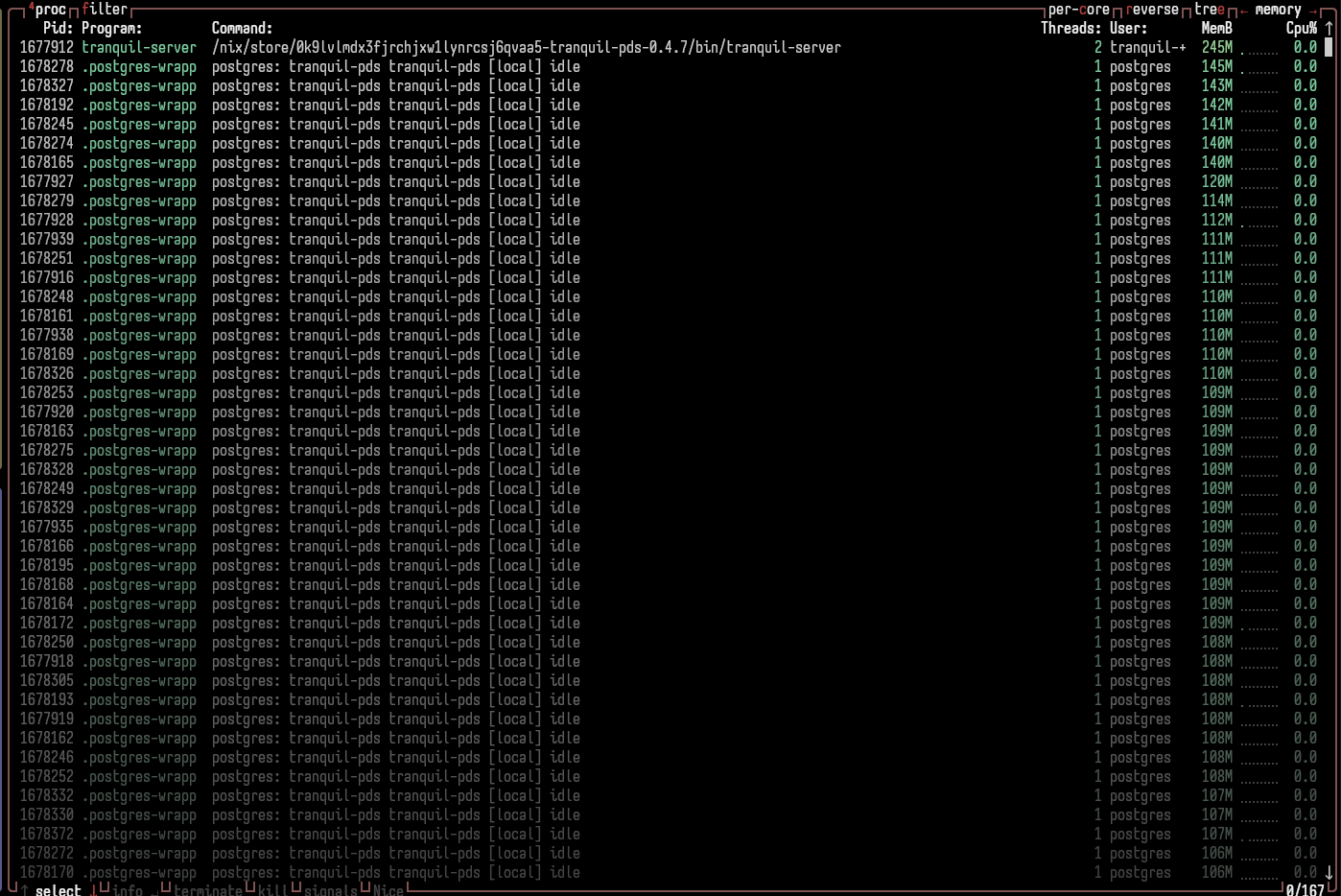 btop screenshot showing lots of `postgres-wrapped` processes attributed to tranquil-pds